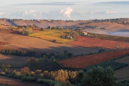 Morro dʼAlba La Vita Nuova المظهر الخارجي الصورة
